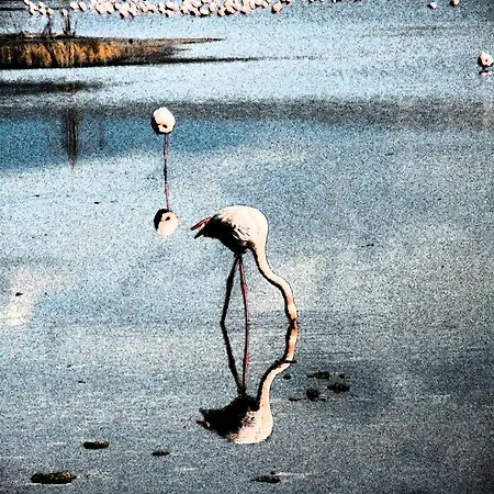 I Gerani 3* Flumini di Quartu