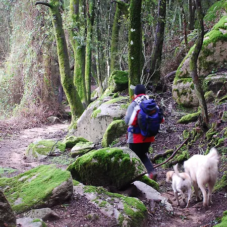 I Gerani 3* פלומיני די קווארטו