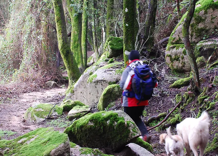 艾哲拉尼住宿加早餐旅馆 3* 弗里米尼迪夸尔图