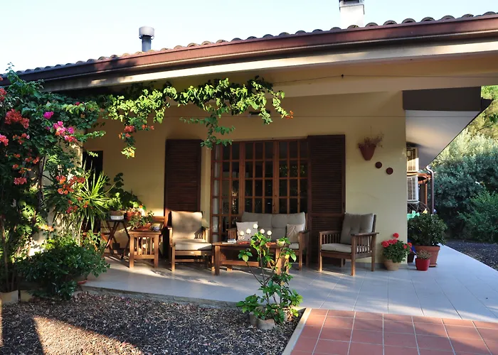 艾哲拉尼住宿加早餐旅馆 住宿加早餐酒店 弗里米尼迪夸尔图