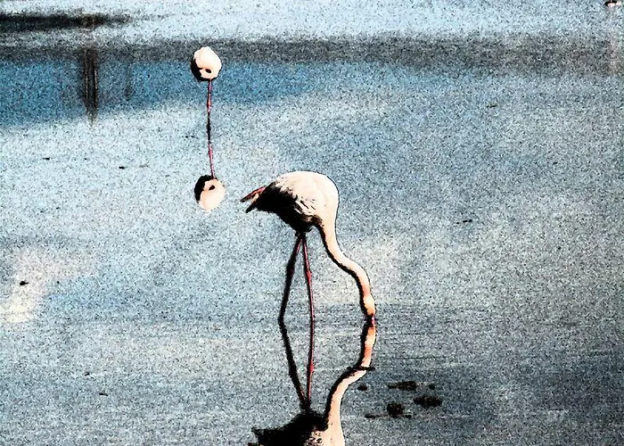 艾哲拉尼住宿加早餐旅馆 3* 弗里米尼迪夸尔图