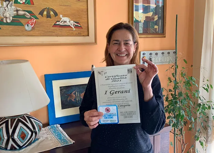 艾哲拉尼住宿加早餐旅馆 住宿加早餐酒店 3*