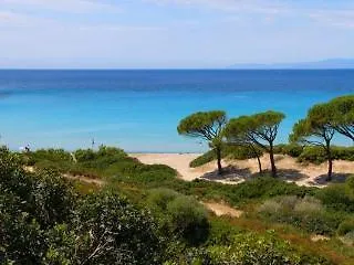 艾哲拉尼住宿加早餐旅馆